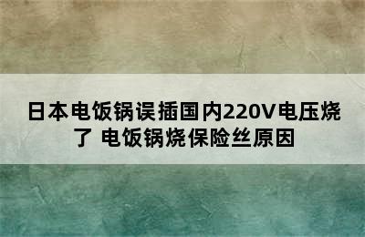 日本电饭锅误插国内220V电压烧了 电饭锅烧保险丝原因